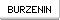 Burzenin.